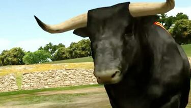 30.000 firmas para impedir la salida del juego "Toro"