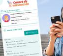 Carnet de vacunación: cómo descargarlo en mi celular y dónde hacerlo