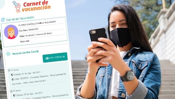 Carnet de vacunación: cómo descargarlo en mi celular y dónde hacerlo