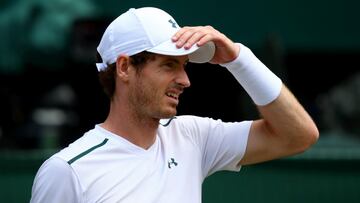 Andy Murray set for mentor role at Hibernian