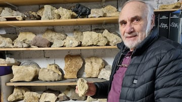Un hombre reúne 6.000 piedras con forma de jabalí y cree que son restos de una antigua civilización: “Esto es algo especial”