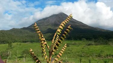 Muchos sí saben quién es Amador