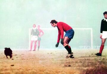 Trying to catch a pitch invader in a match between Spain and Scotland in 1976.