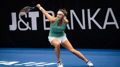 Aryna Sabalenka ejecuta un rev&eacute;s cortado.