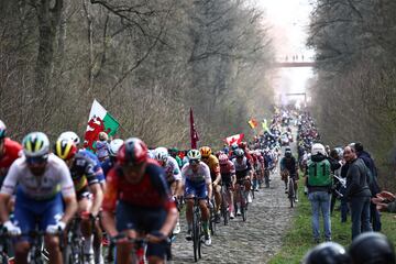 El pelotón recorre el sector de adoquines del Bosque de Arenberg.