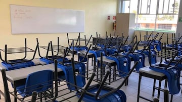 ¿Hay clases el viernes 6 de diciembre o es feriado?, esto dice la SEP y para qué estado aplica