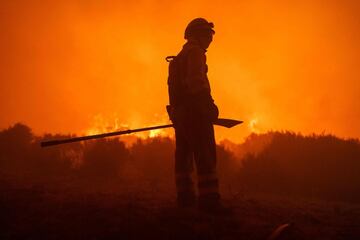 Dos incendios desatados en la provincia de ?vila han provocado la evacuaci¨®n de los municipios de Riofr¨ªo, Sotalbo, Villaviciosa, Palacios y Robledillo, adem¨¢s de quemar 10.000 hect¨¢reas. La situaci¨®n ha obligado la intervenci¨®n de la Unidad Militar de Emergencias.