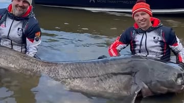 Pescan el siluro más grande del mundo: mide casi 3 metros