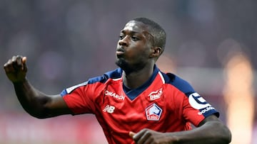 Lille sensation Nicolas Pépé set to leave - coach confirms