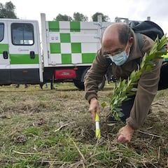El Acciona Open de España logra un 'impacto positivo' con la plantación de 4.000 árboles