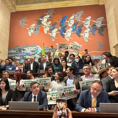 Reforma a la salud: ¿cuáles son las facultades extraordinarias aprobadas por el senado para el presidente Petro?