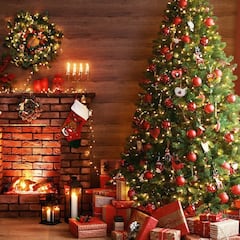 El verdadero origen del árbol de Navidad y la historia de cómo se adoptó en México