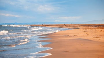 Situada en el privilegiado entorno natural del delta del Ebro, la playa de los Eucaliptos es uno de los enclaves mejor conservados de la zona. Se trata de una larga franja de playa que se extiende a lo largo de casi seis kilómetros y 200 metros de anchura entre dunas bajas y una flora de un valor extraordinario en la que se combinan los arrozales y los eucaliptos que dan nombre a la playa.