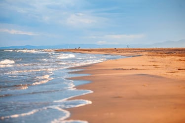 Situada en el privilegiado entorno natural del delta del Ebro, la playa de los Eucaliptos es uno de los enclaves mejor conservados de la zona. Se trata de una larga franja de playa que se extiende a lo largo de casi seis kilómetros y 200 metros de anchura entre dunas bajas y una flora de un valor extraordinario en la que se combinan los arrozales y los eucaliptos que dan nombre a la playa.