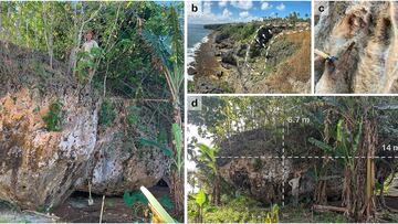 Científicos resuelven el misterio de la roca más grande jamás encontrada a 200 metros de altura: la culpa fue de un megatsunami