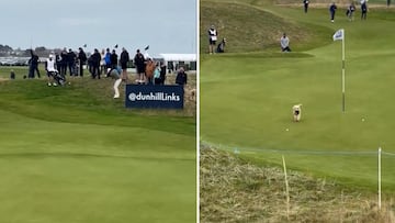 Adorable canine caddy: dog delights by nabbing Gareth Bale’s ball at Dunhill Links!