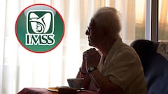 Pensión IMSS 2024: ¿cuándo depositan el pago de febrero y cuál es el calendario completo?