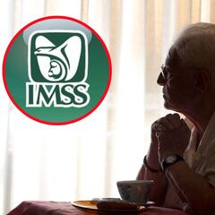 Pensión IMSS 2024: ¿cuándo depositan el pago de febrero y cuál es el calendario completo?