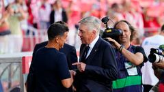 El entrenador del Real Madrid, Carlo Ancelotti (d), saluda al del Girona, Míchel Sánchez, antes del partido de la jornada 8 de Liga de Primera división que disputaron en Montiliví el Girona y el Real Madrid.