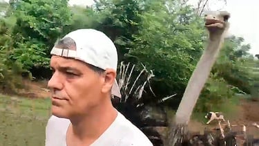 Frank Cuesta reta al ElXokas a ser el primer participante de su nuevo programa: “Saca la basura del congelador que voy a por ti”