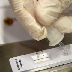 Ya se sabe el tiempo que duran los anticuerpos si te has contagiado