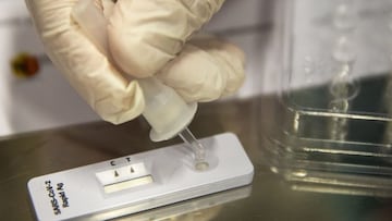 Ya se sabe el tiempo que duran los anticuerpos si te has contagiado