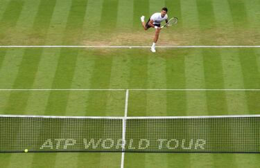 Novak Djokovic and Karolina Pliskova prevail at Eastbourne