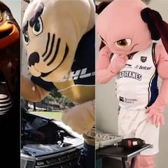 Mascotas de los equipos capitalinos te desean un feliz Día del Padre