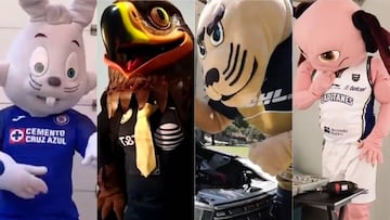 Mascotas de los equipos capitalinos te desean un feliz Día del Padre