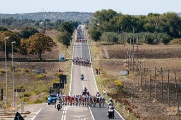 El pelotón durante la séptima etapa de la carrera ciclista Giro de Italia, de 143 kilómetros entre Matera y Brindisi.