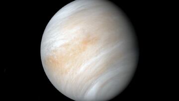 Venus
 NASA/JPL-Caltech
 30/04/2021