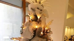 Koeman questioned over Christmas tree colours