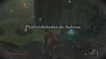 Llegamos a las Profundidades de Ashina