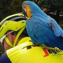 Frankje, el loro de Scarponi, sale a rodar con Antonio Nibali