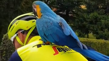 Antonio Nibali rueda con el loro Frankje a su espalda. Frankje es el loro que sol&iacute;a acompa&ntilde;ar en sus entrenamientos a Michele Scarponi.