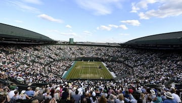 Quejas por el pasto de Wimbledon: seca y más lenta