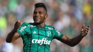 Miguel Ángel Borja lleva 11 goles en su primer año con el Palmeiras de Brasil.