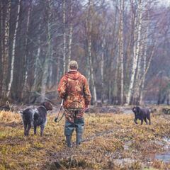 No, esto no es lo que queremos