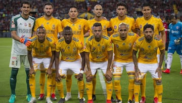 Tigres