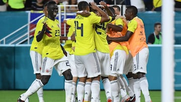 Además de la Copa América, la Selección Colombia también tendrá acción durante 2019 en los Suramericanos Sub-20 de Chile, Sub-17 de Perú y Sub-15 de Bolivia