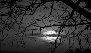 La noche más oscura de noviembre sucederá este día: fecha y hora