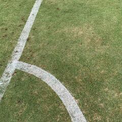 Los desperfectos del césped del Bermuda National Stadium