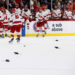 Why do Florida Panthers hockey fans throw rats on the ice?