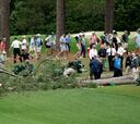 Dramático momento: tres árboles caen cerca de los golfistas y esto pasó