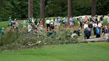 Dramático momento: tres árboles caen cerca de los golfistas y esto pasó