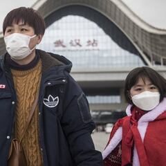 El origen del coronavirus