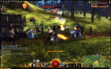 Captura de pantalla - Guild Wars 2 (PC)