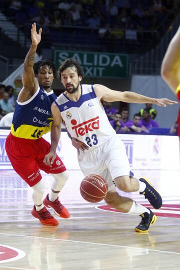 Sergio Llull.