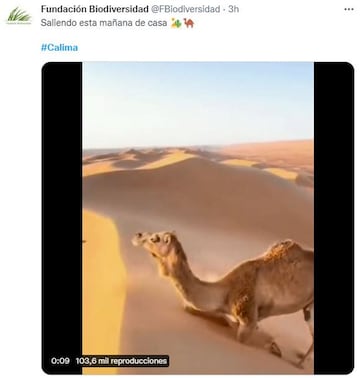 Los mejores memes y tuits sobre el polvo sahariano en España