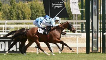 Ascot Angel, ganando en su anterior visita en La Zarzuela.